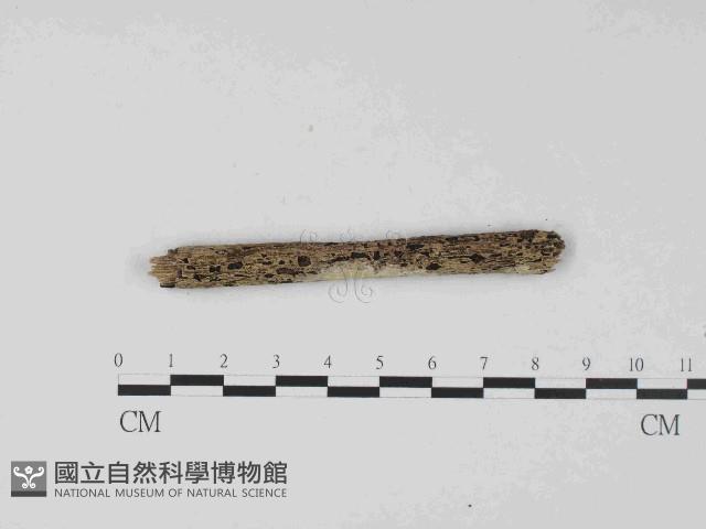 登錄號:F0023675藏品圖，第3張