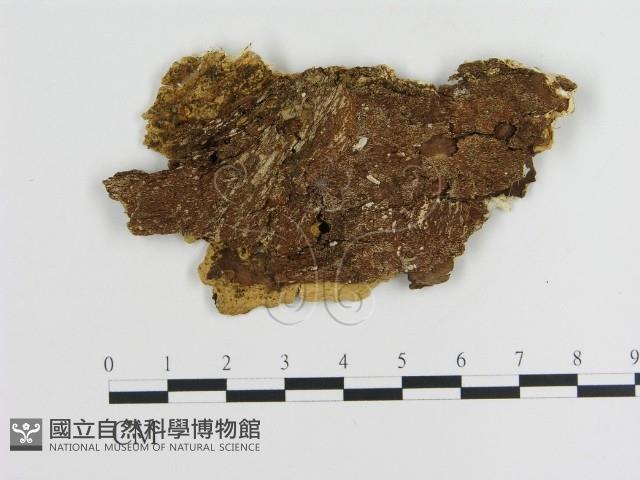 登錄號:F0009475藏品圖，第3張