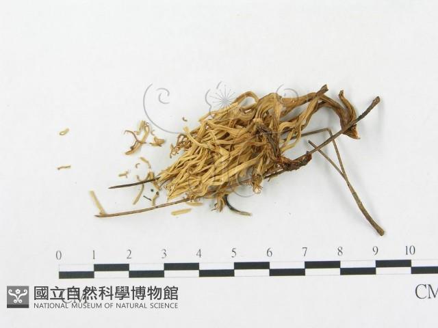 登錄號:F0003775藏品圖，第3張