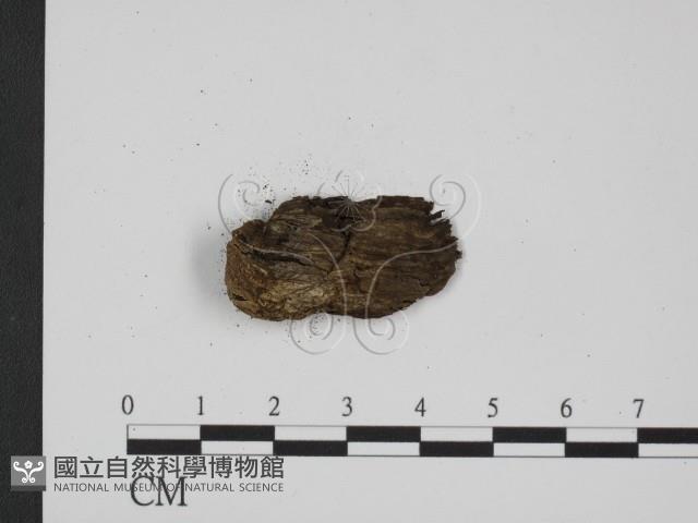 登錄號:F0008175藏品圖，第3張