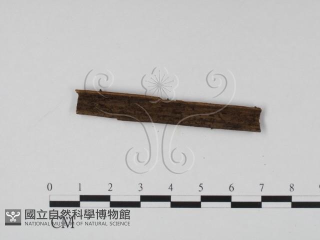 館號:F0020075藏品圖，第3張