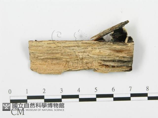 登錄號:F0006375藏品圖，第3張