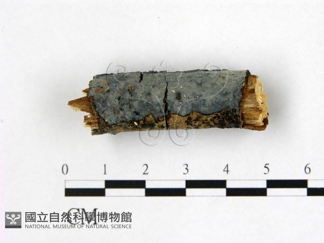 登錄號:F0022375藏品圖，第3張