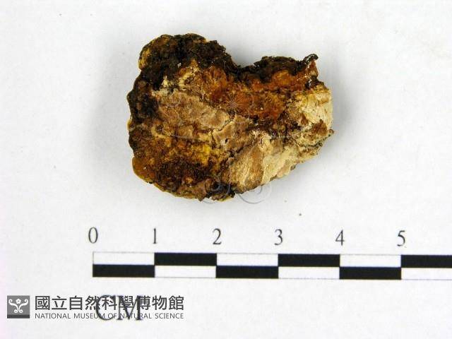 登錄號:F0006269藏品圖，第3張