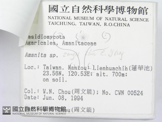 登錄號:F0002269藏品圖，第4張