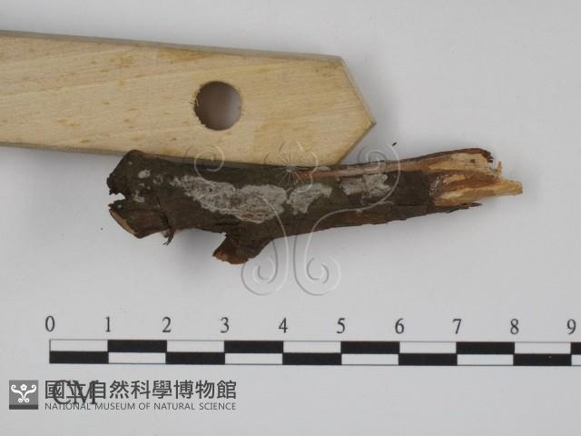 登錄號:F0003869藏品圖，第3張
