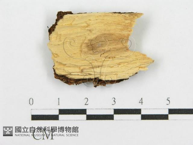 登錄號:F0016669藏品圖，第3張