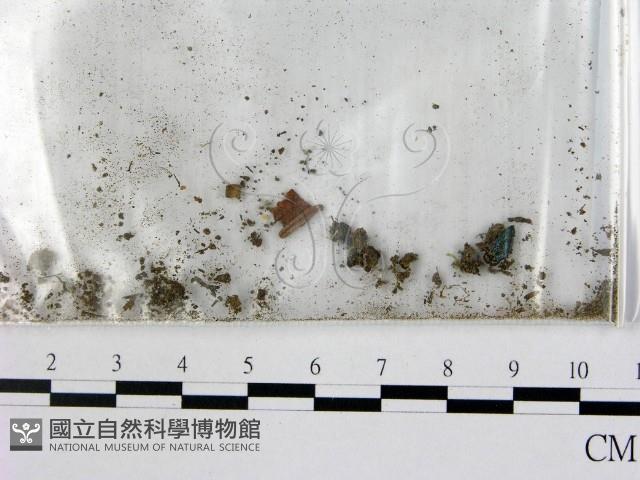 登錄號:F0007669藏品圖，第3張