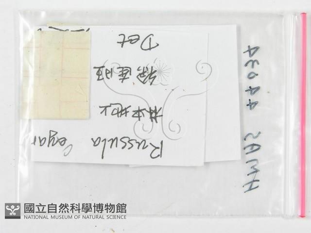 登錄號:F0019669藏品圖，第3張