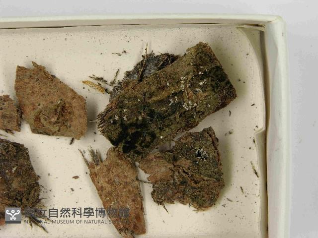登錄號:F0021469藏品圖，第3張