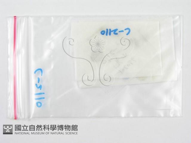 登錄號:F0007469藏品圖，第3張