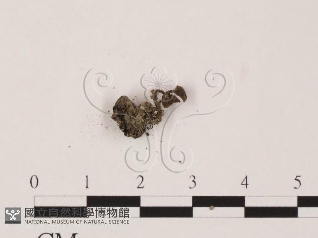 登錄號:F0020769藏品圖，第3張
