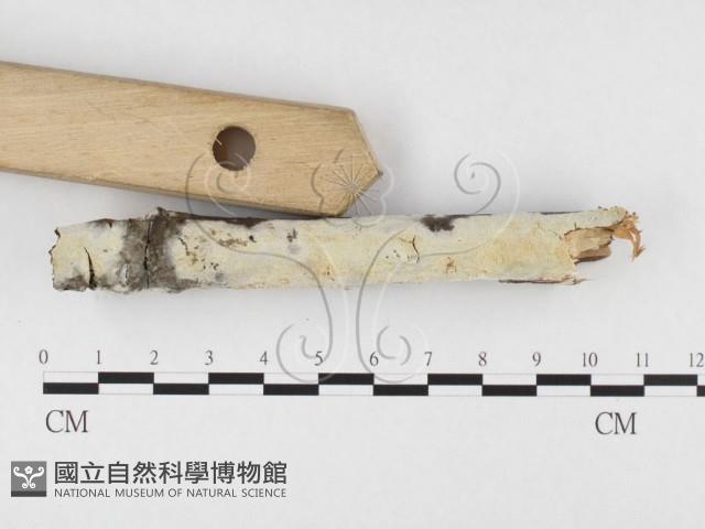 登錄號:F0026769藏品圖，第3張