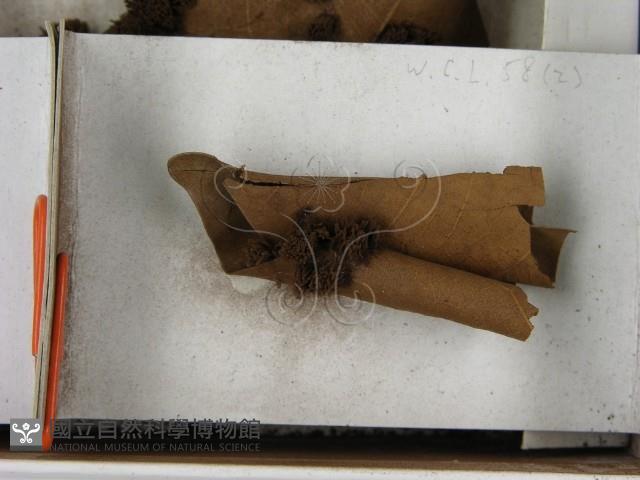 登錄號:F0020569藏品圖，第3張