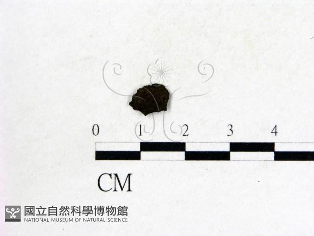 登錄號:F0019569藏品圖，第3張