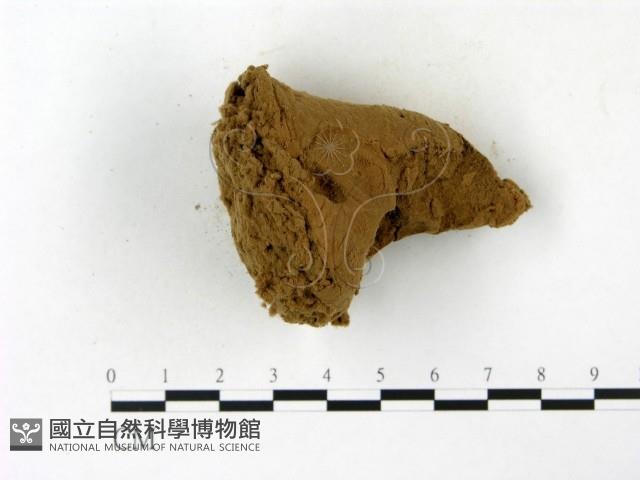 登錄號:F0023169藏品圖，第3張