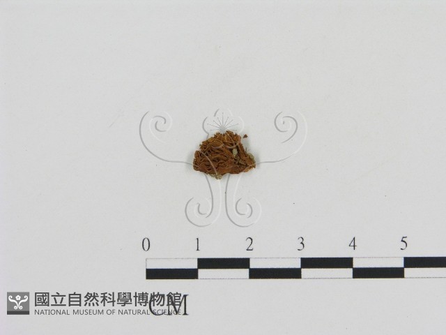 登錄號:F0011069藏品圖，第3張