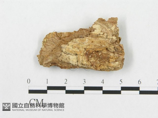 登錄號:F0007069藏品圖，第3張