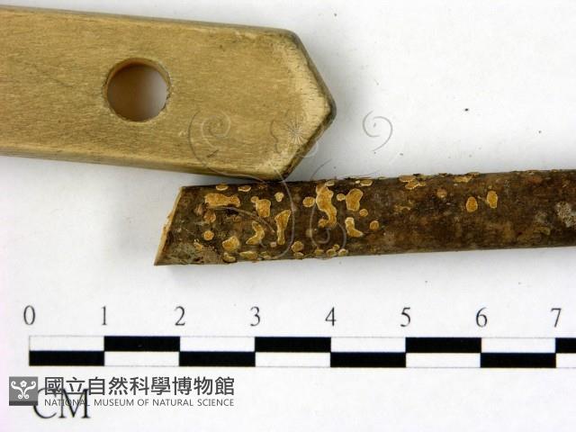 登錄號:F0009069藏品圖，第3張