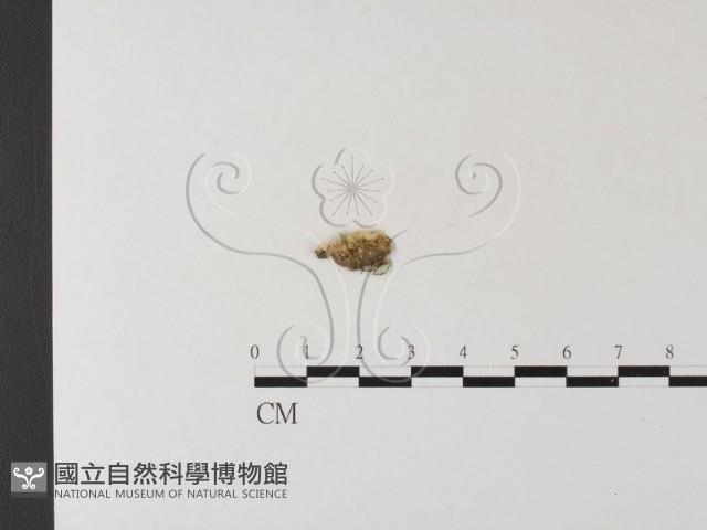 登錄號:F0021369藏品圖，第3張