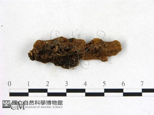 登錄號:F0006829藏品圖，第3張