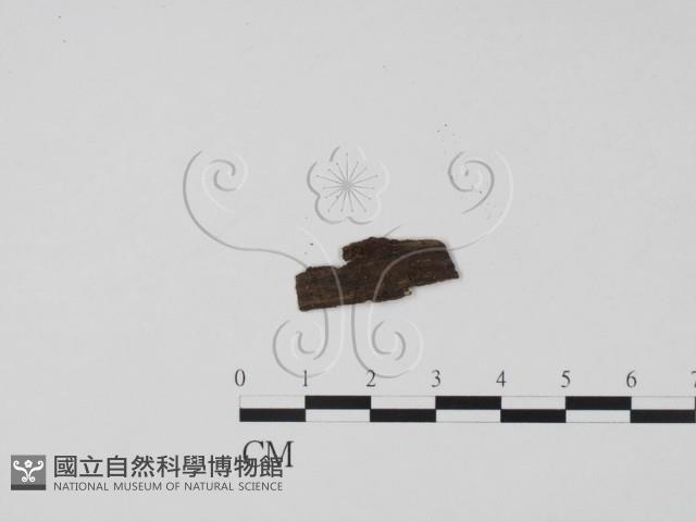 登錄號:F0008929藏品圖，第3張