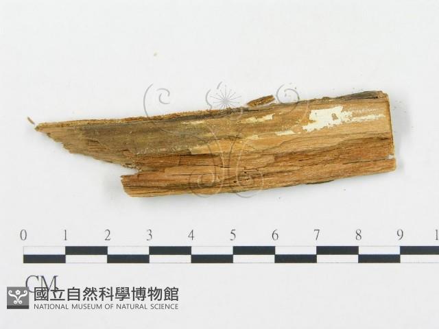 登錄號:F0013929藏品圖，第3張