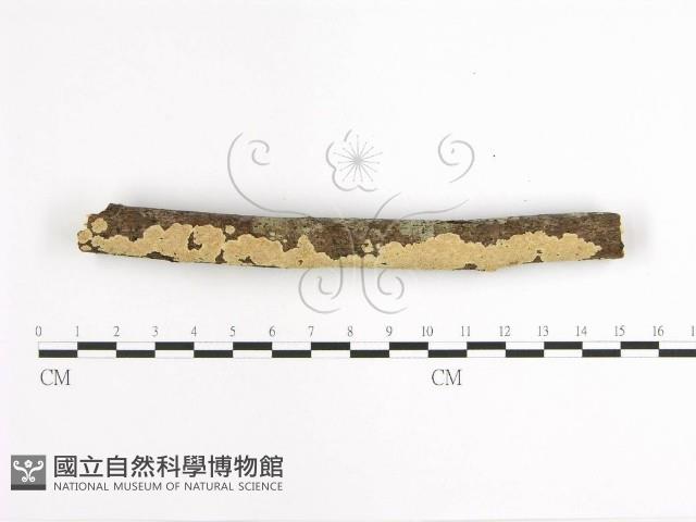 登錄號:F0001629藏品圖，第3張