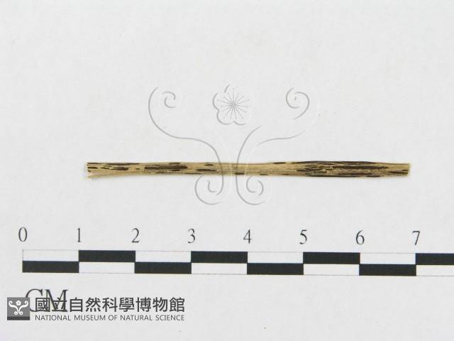 登錄號:F0011629藏品圖，第1張