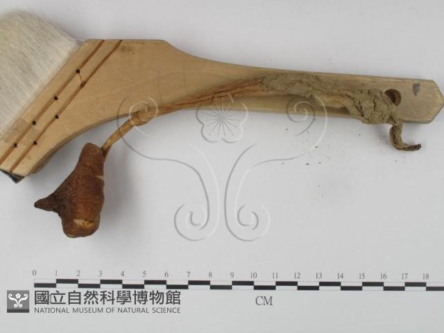 登錄號:F0015629藏品圖，第3張