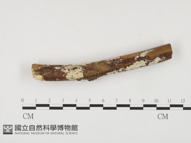 登錄號:F0003629藏品圖，第3張