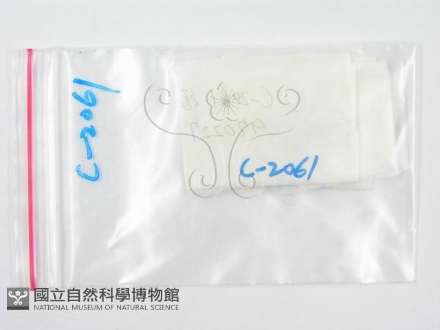 登錄號:F0007429藏品圖，第3張