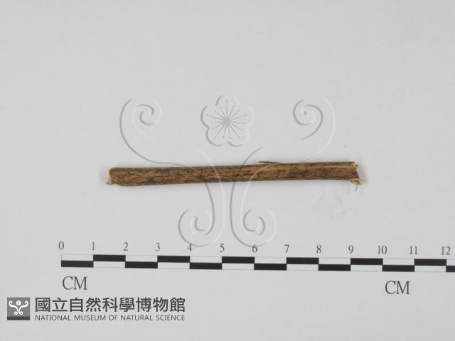 登錄號:F0011729藏品圖，第3張