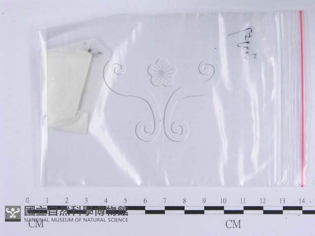 登錄號:F0017729藏品圖，第3張