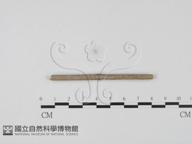 登錄號:F0011529藏品圖，第3張