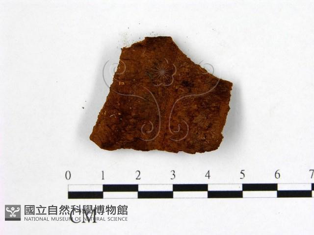 登錄號:F0006129藏品圖，第3張