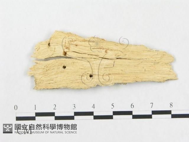 登錄號:F0015129藏品圖，第3張