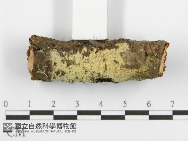 登錄號:F0015329藏品圖，第3張