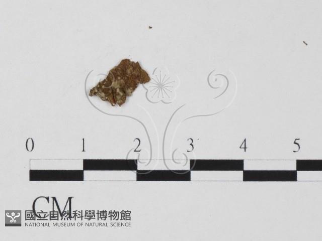 登錄號:F0011809藏品圖，第3張