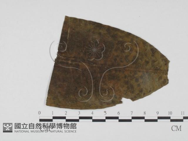 登錄號:F0018909藏品圖，第3張