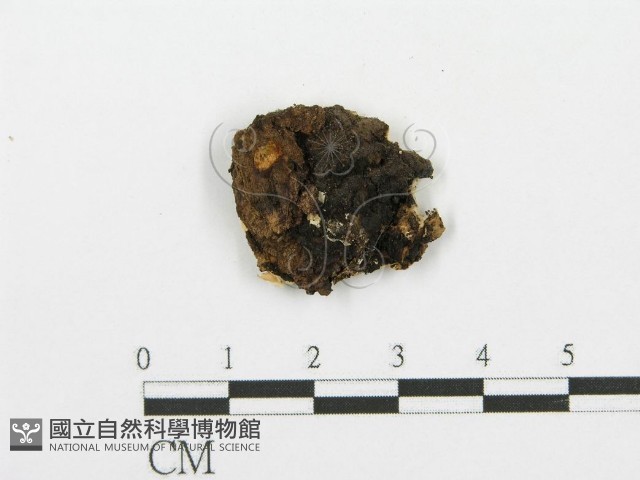 登錄號:F0007909藏品圖，第3張