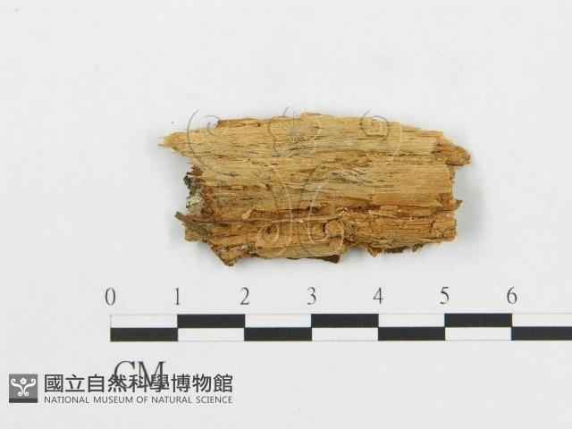 登錄號:F0005909藏品圖，第3張