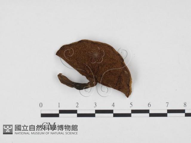 登錄號:F0024409藏品圖，第3張