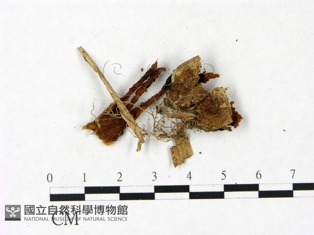 登錄號:F0023409藏品圖，第3張