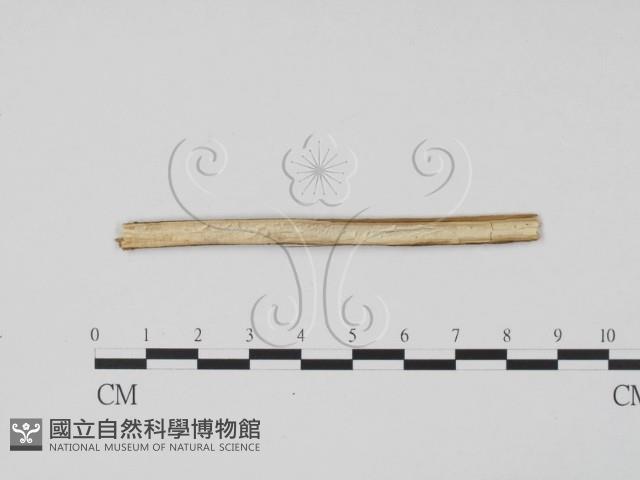 登錄號:F0011709藏品圖，第3張