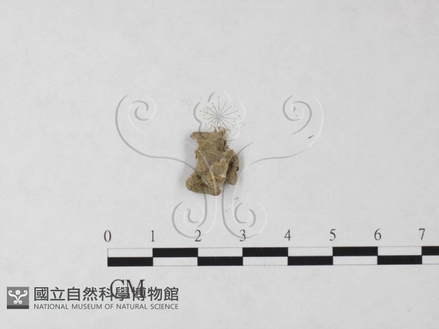 登錄號:F0023709藏品圖，第3張