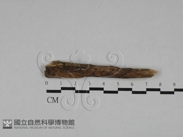 登錄號:F0028819藏品圖，第1張