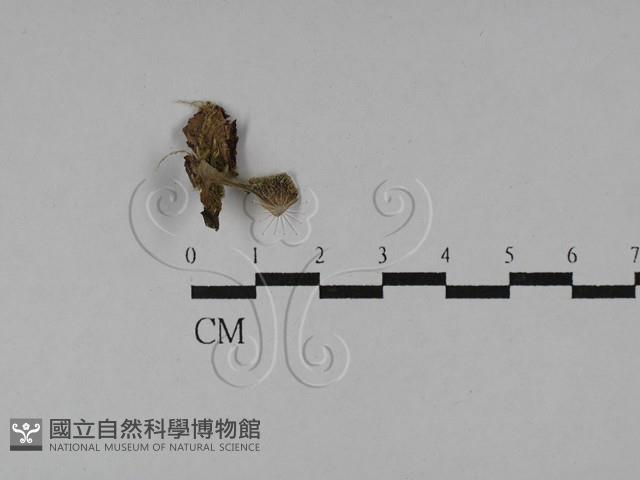 登錄號:F0028919藏品圖，第3張