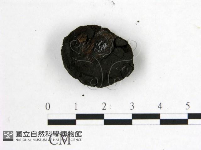 登錄號:F0001919藏品圖，第3張