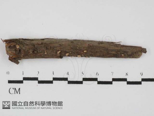 登錄號:F0014919藏品圖，第3張